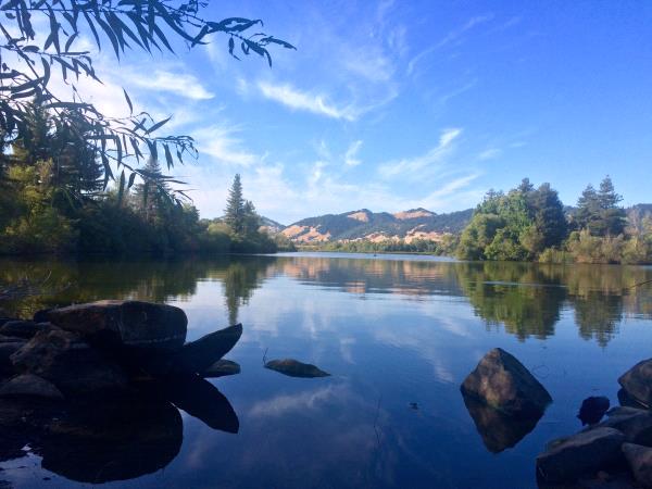 /Images/uploads/Sonoma County Regional Parks Foundation/springlake50/entries/28899thumb.jpg